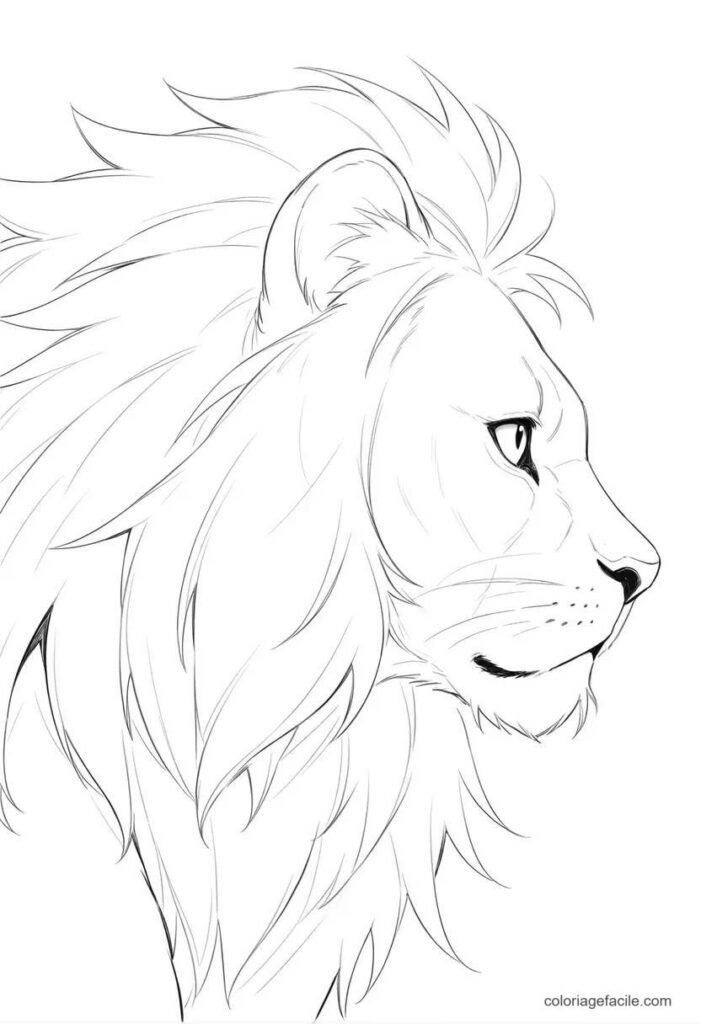 roi lion coloriage (10)